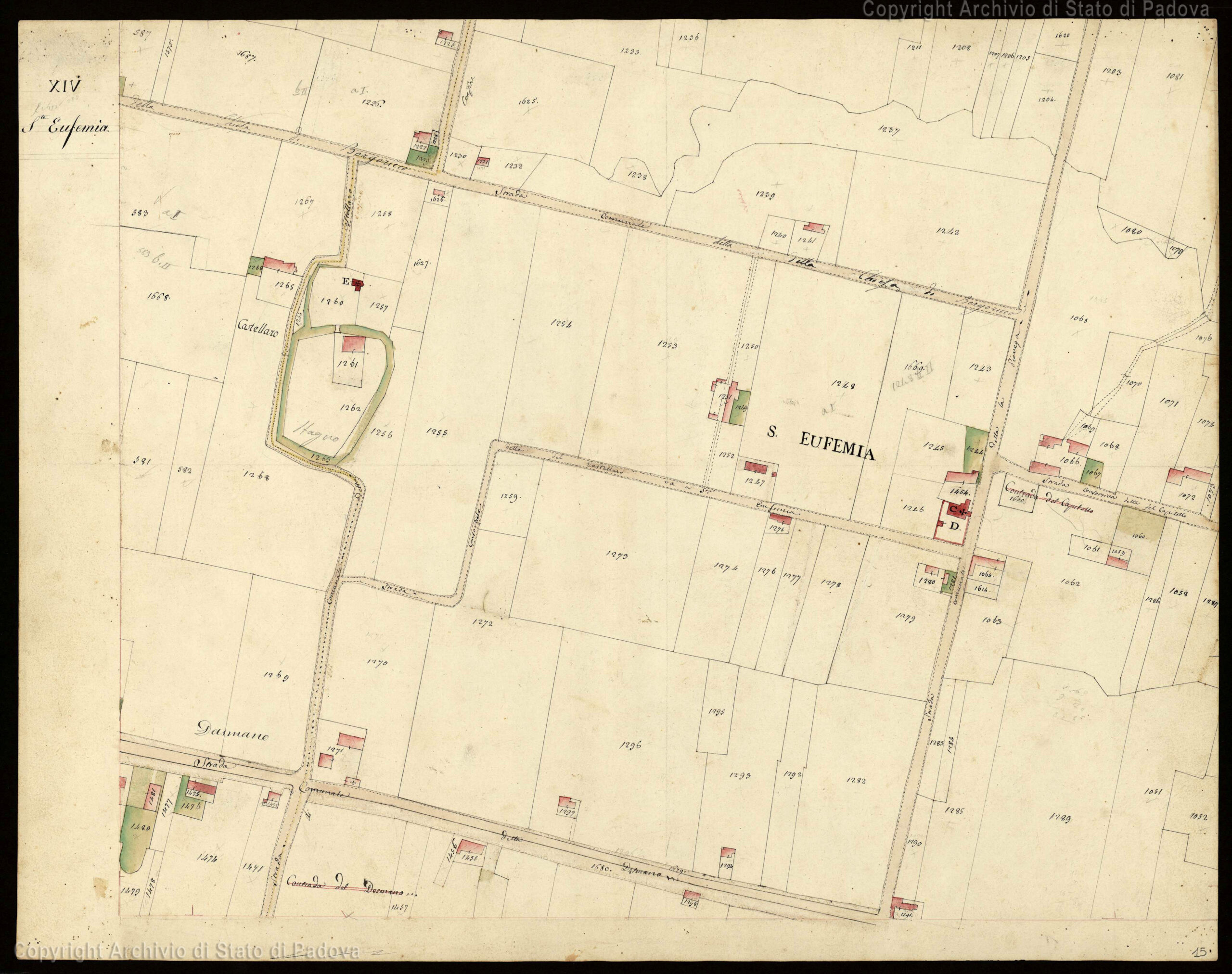 Catasto Austriaco Borgoricco f XIV