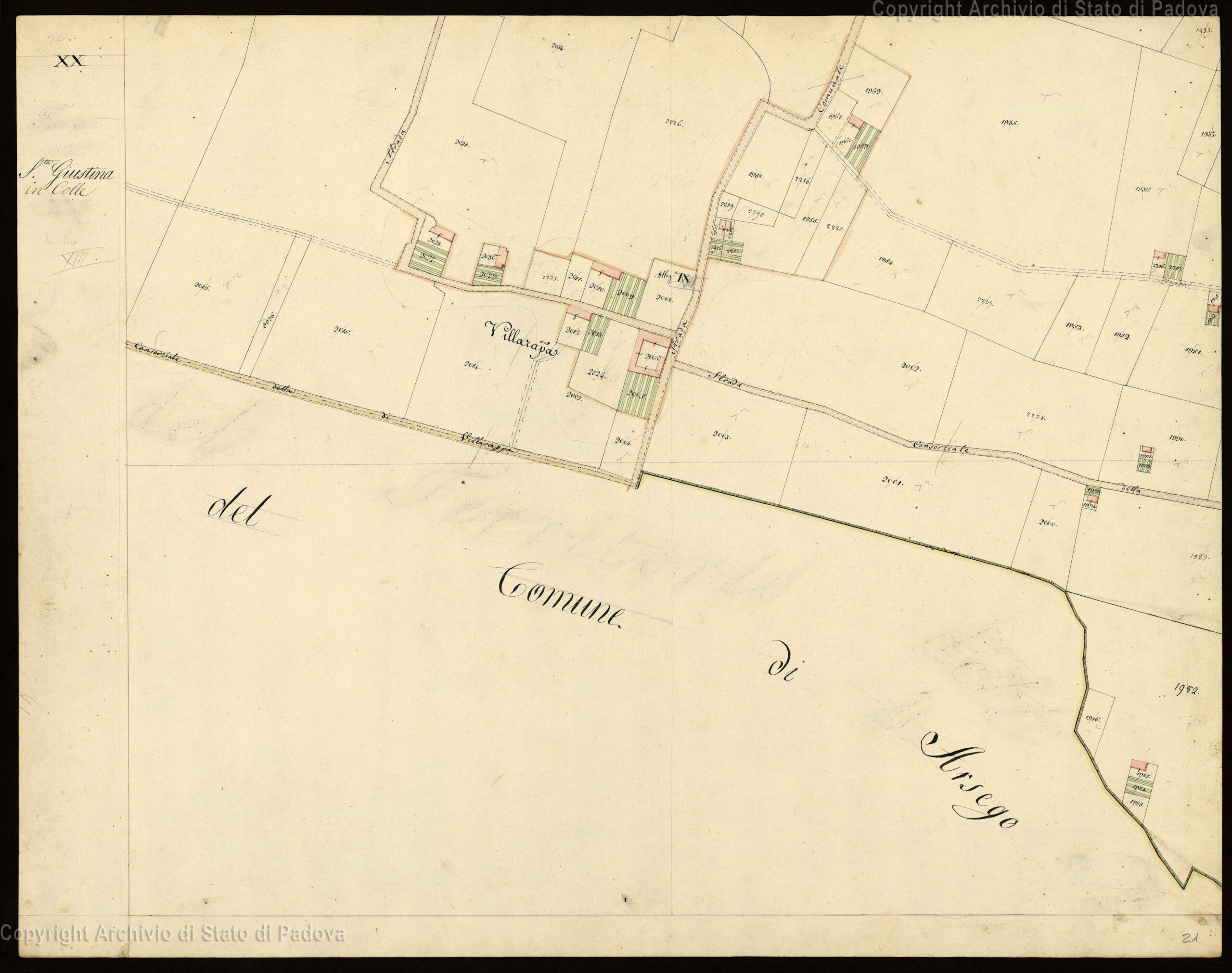 Catasto Austriaco S Giustina in Colle f XX