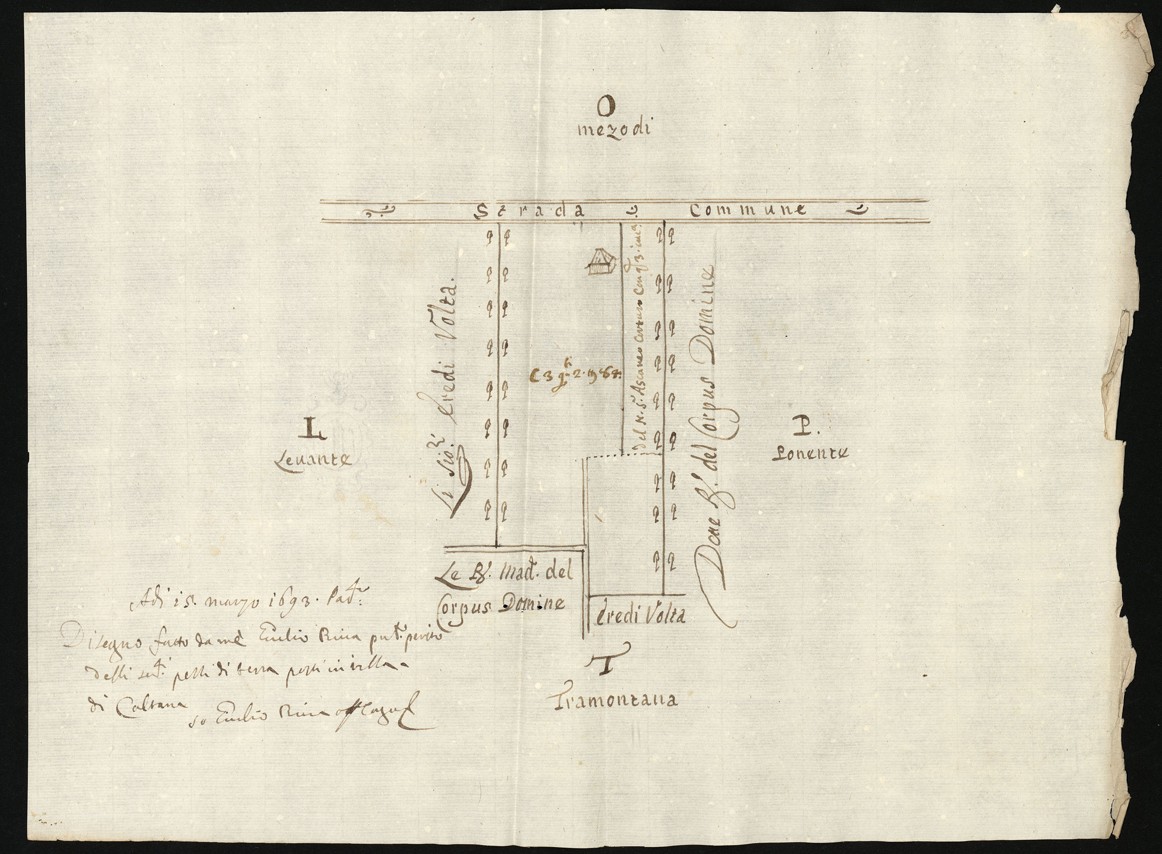 Eremitani b 138 dis 2