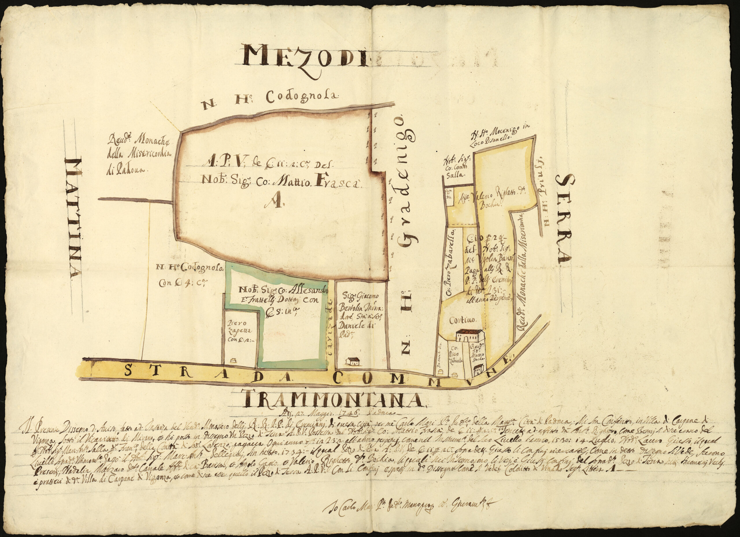 Eremitani b 203 dis 5