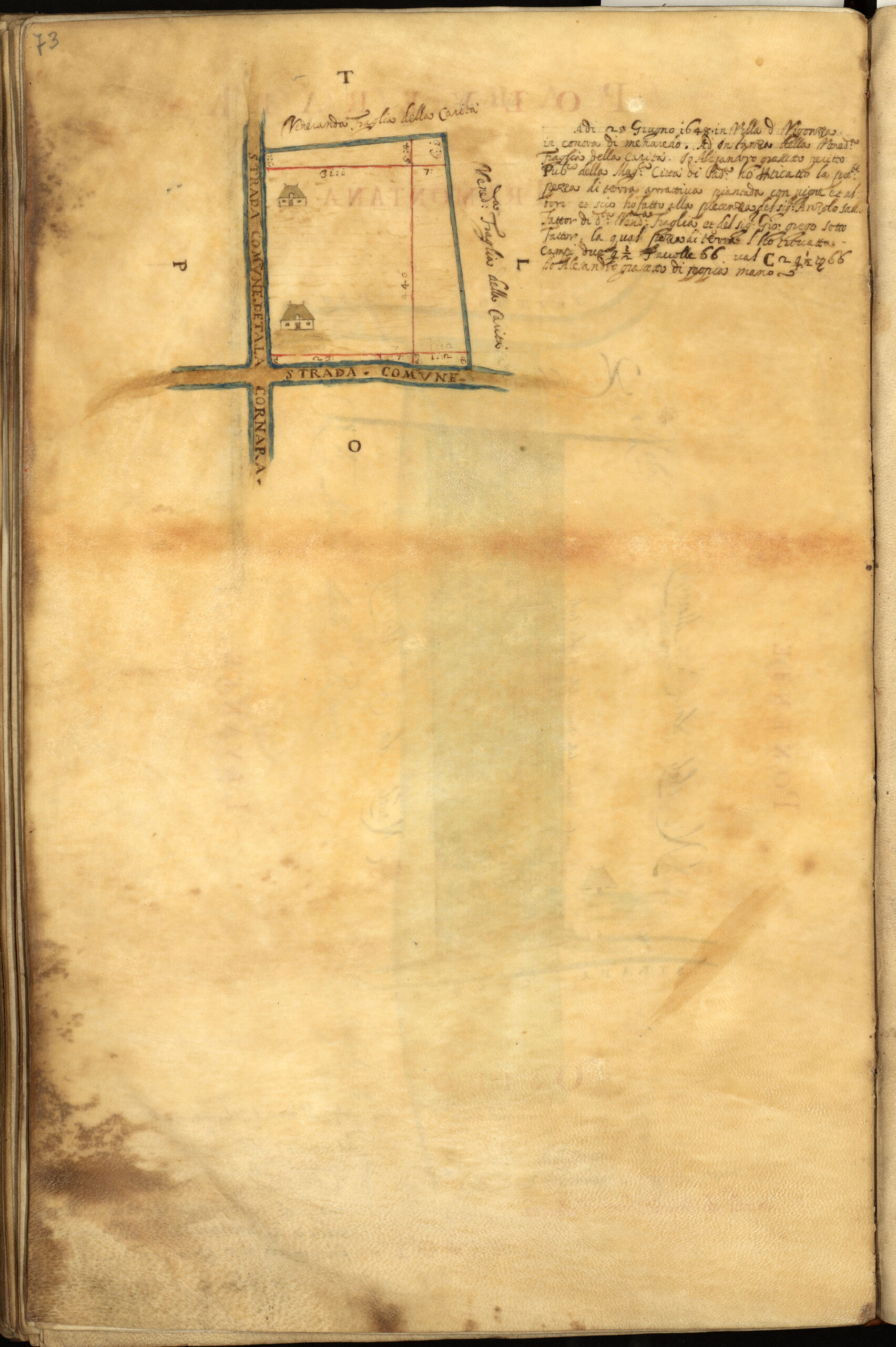 Ospedale Civile b 542 dis 73v