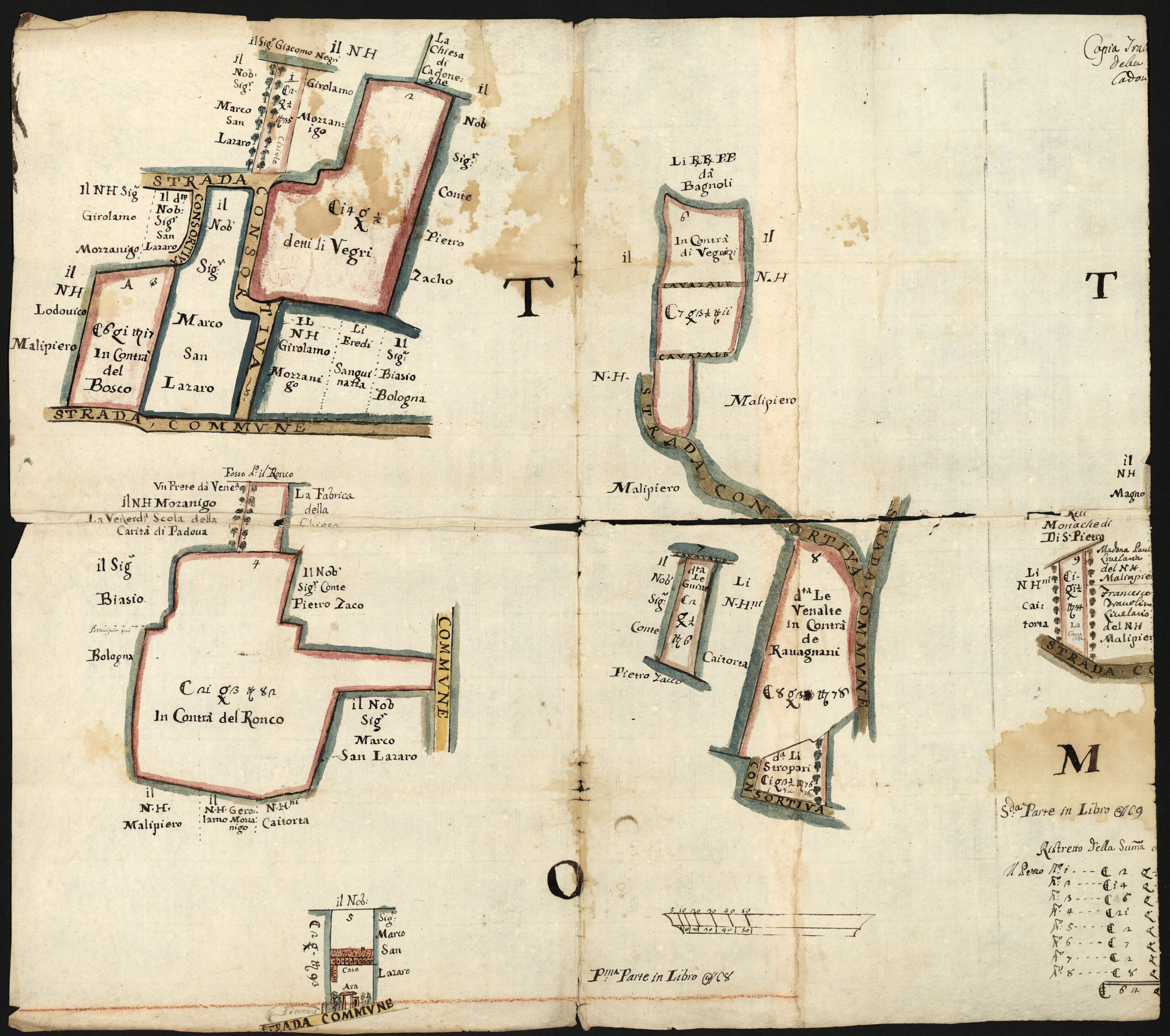 S. Elena b 174 dis 5